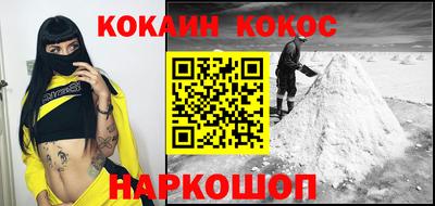 крисы Кингисепп