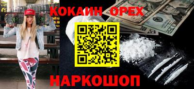 крисы Кингисепп