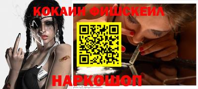 крисы Кингисепп