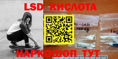 крисы Кингисепп
