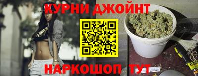крисы Кингисепп
