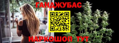 крисы Кингисепп