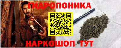 крисы Кингисепп