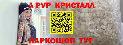 крисы Кингисепп