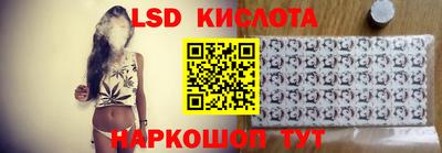 крисы Кингисепп