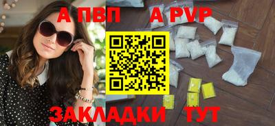 крисы Кингисепп