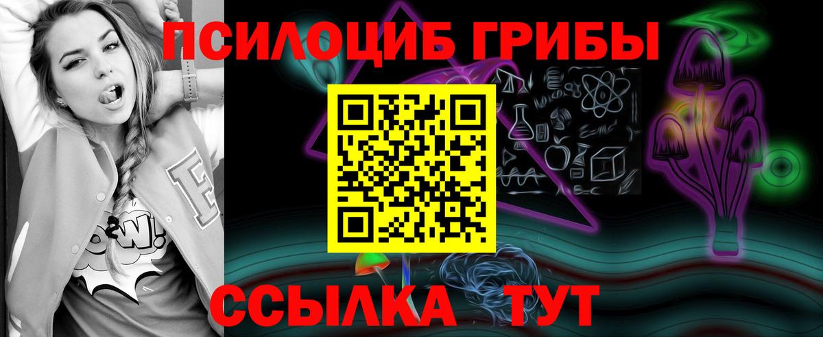 Конаково  Псилоцибиновые грибы Psilocybe  Вход с VPN 